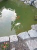 20200713_204948.jpg
