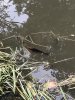 C0715172-E53C-4246-ACF5-D9AB8B61BD24.jpeg
