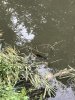 63B91D67-0522-4FFC-9708-5E5F3586F675.jpeg