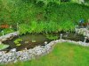 20200717_110708.jpg