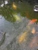 816FEB98-A7EB-44E9-BBEA-57C059E0C59B.jpeg