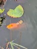 20200715_155617.jpg