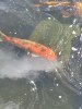 IMG-20200804-WA0049.jpg