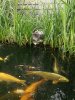 IMG_20200803_173742.jpg