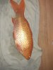 20200808_060506.jpg