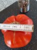 20200813_164539.jpg