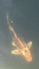 41F8D1C8-7092-409F-90AC-C285FD84F851.png