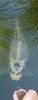 B1392A12-141B-4A0B-A80F-F9C1DF84ED80.jpeg