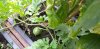 20200818_165542.jpg