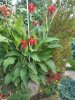 20200904_171446.jpg