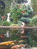 20200904_172631.jpg
