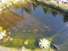 20200819_160620.jpg