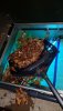 IMG-20200917-WA0112.jpeg