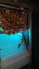 IMG-20200917-WA0108.jpeg