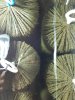 20200927_122309.jpg