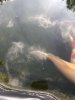 9142C88D-8656-4667-9522-86A1AC9F049D.jpeg