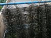 IMG_20201007_174606.jpg