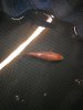 IMG_20201020_162806.jpg