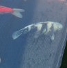 IMG_20200209_124700~2.jpg