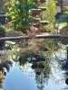 20201107_093522.jpg