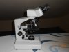 DSCN1178.JPG