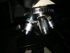 IMG_20201123_172126.jpg