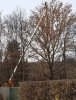 IMG-20201208-WA0000.jpg