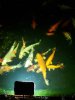 20201223_165926.jpg