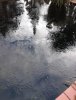 IMG-20210102-WA0000.jpg