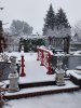 20210103_084618.jpg
