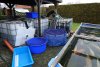 DSC05115.jpg