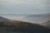 DSC04501.jpg