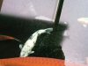 IMG_20201225_101936.jpg