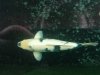 IMG_20201213_142447.jpg