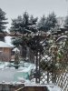 20210129_100632.jpg