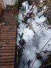 20210202_165756.jpg