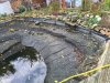 20201102_123150.jpg