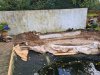 20201102_145342.jpg