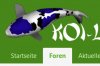 Koi-Live-Sanke-in-blau.jpg