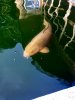 IMG_1427.jpeg