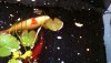 WP_20190729_19_27_23_Pro.jpg