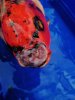 IMG_20210318_134717.jpg