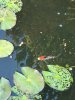 298C5917-7069-4A9E-8C5A-51BFC2017E9A.jpeg