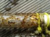 20160418_170935.jpg