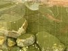 IMG_0182.jpeg