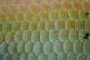 DSC05889-min.jpg