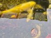 20210430_163255.jpg 20210430_163255.jpg