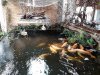 20210110_132449.jpg