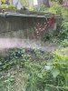 4E8398D9-6A35-4D0C-A9DC-F66793663E78.jpeg