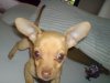 DSC00008.JPG